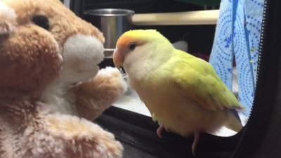 Watch Mistress T's leaked NSFW video on TwXstars