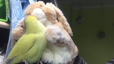 Watch Mistress T's leaked NSFW video on TwXstars