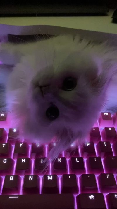 Watch lyn's leaked NSFW video on TwXstars