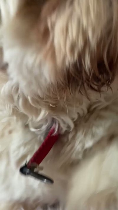 Watch clara's leaked NSFW video on TwXstars