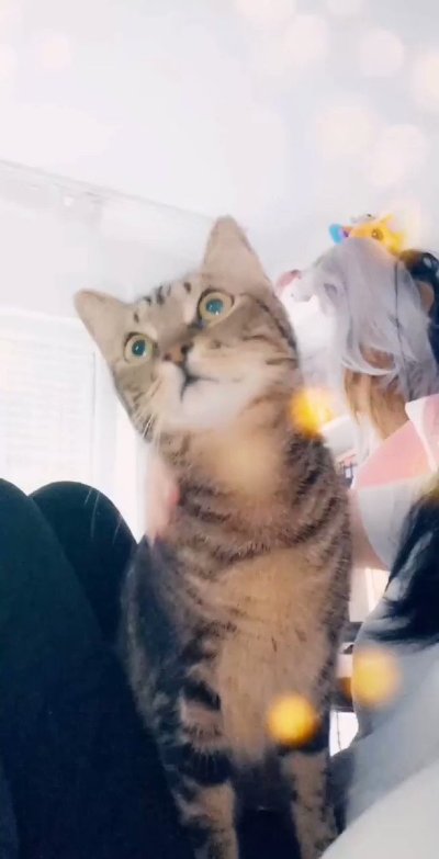 Watch 🌸Nori🌸's leaked NSFW video on TwXstars