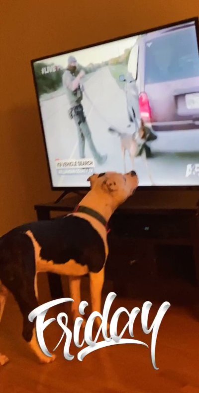 Watch Tonee. 💛's leaked NSFW video on TwXstars