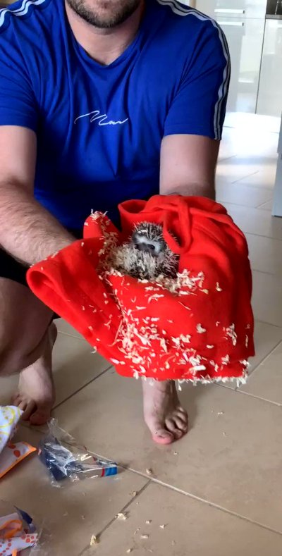 Watch Stephen Dallas's leaked NSFW video on TwXstars