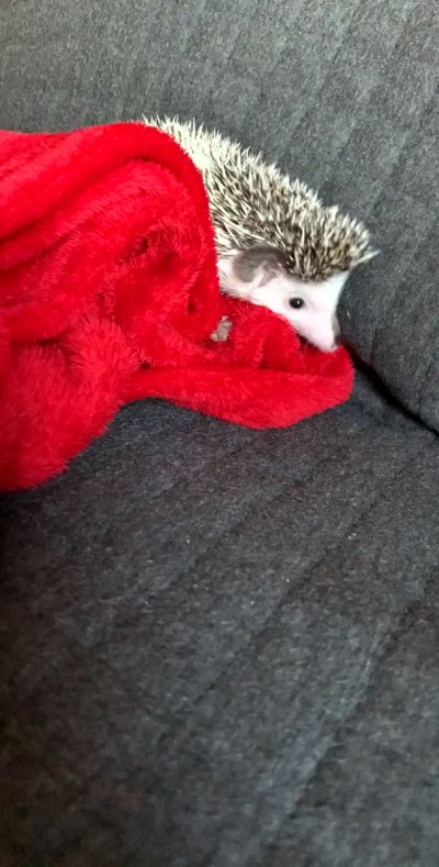 Watch Stephen Dallas's leaked NSFW video on TwXstars