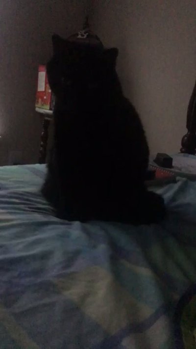 Watch Ginny Fantasy 💜 NSFW VA (Comms Closed)'s leaked NSFW video on TwXstars