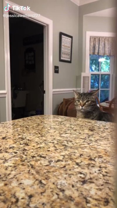 Watch ۶ৎ 𝒶𝓂𝑜𝓊𝓇 ۶ৎ's leaked NSFW video on TwXstars