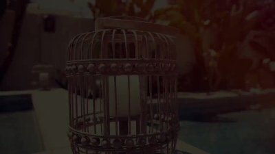 Watch Will Dynamite's leaked NSFW video on TwXstars