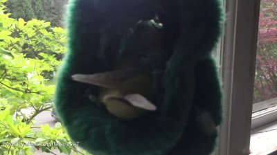 Watch Mistress T's leaked NSFW video on TwXstars