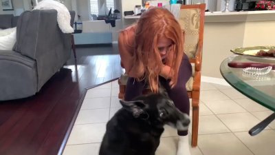 Watch Brandi Lauren's leaked NSFW video on TwXstars