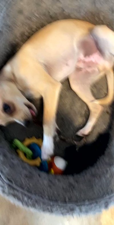 Watch Seth Peterson's leaked NSFW video on TwXstars