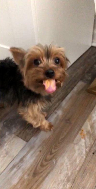 Watch AZRA😳's leaked NSFW video on TwXstars