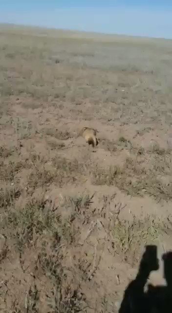 Watch Seth Peterson's leaked NSFW video on TwXstars