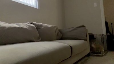 Watch Will Dynamite's leaked NSFW video on TwXstars