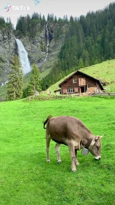 Watch Mai's leaked NSFW video on TwXstars