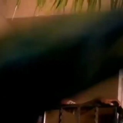 Watch Kammie 🇮🇳 🇯🇲's leaked NSFW video on TwXstars