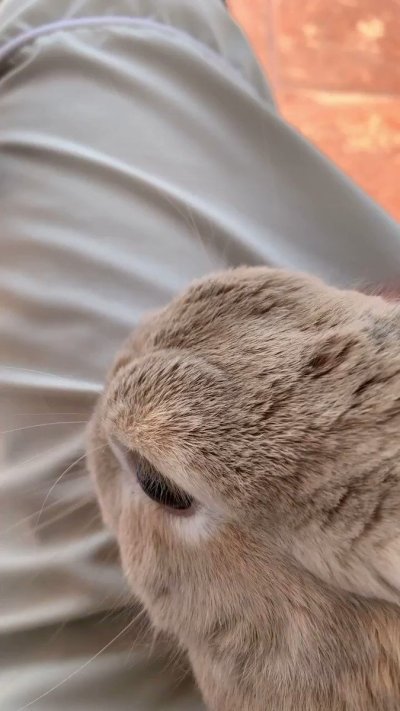 Watch Will Dynamite's leaked NSFW video on TwXstars