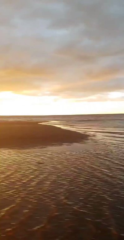 Watch Marley 🦁's leaked NSFW video on TwXstars