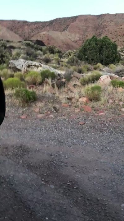 Watch Azura Cosplay ⚔️'s leaked NSFW video on TwXstars