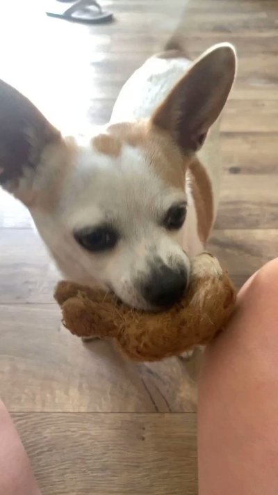 Watch Oxillery's leaked NSFW video on TwXstars