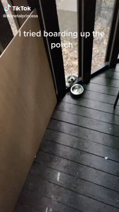 Watch Tai’Aysha ⭐️'s leaked NSFW video on TwXstars