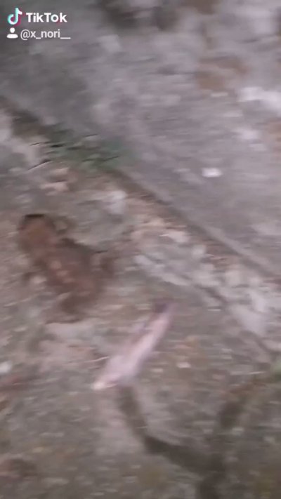 Watch 🌸Nori🌸's leaked NSFW video on TwXstars