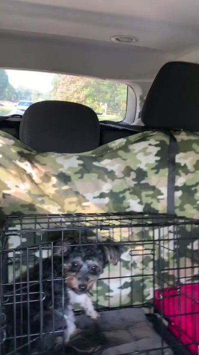 Watch Kee 🇯🇲's leaked NSFW video on TwXstars