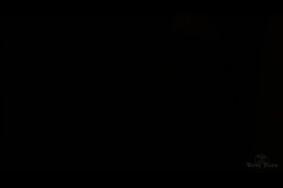 Watch The Rope Dude 🔞's leaked NSFW video on TwXstars