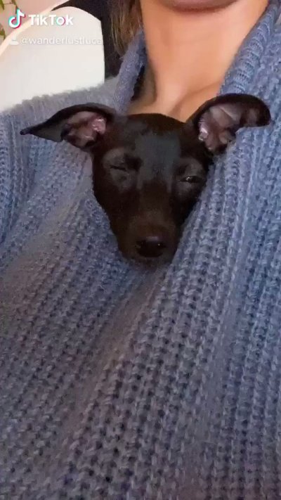 Watch Luca ✨'s leaked NSFW video on TwXstars