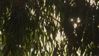 Watch Destination NSW's leaked NSFW video on TwXstars