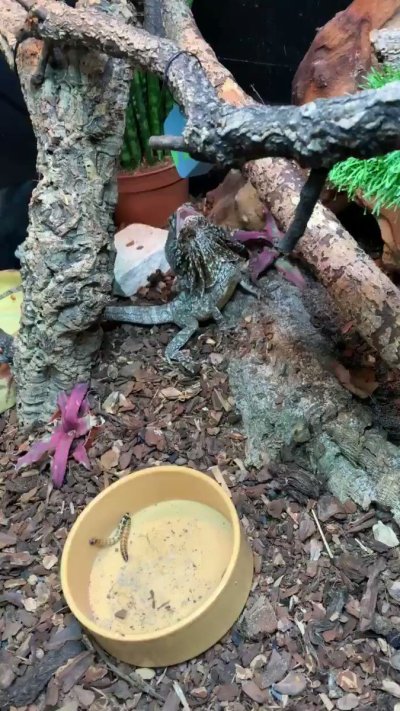 Watch Stephen Dallas's leaked NSFW video on TwXstars