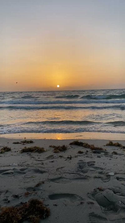 Watch sade's leaked NSFW video on TwXstars