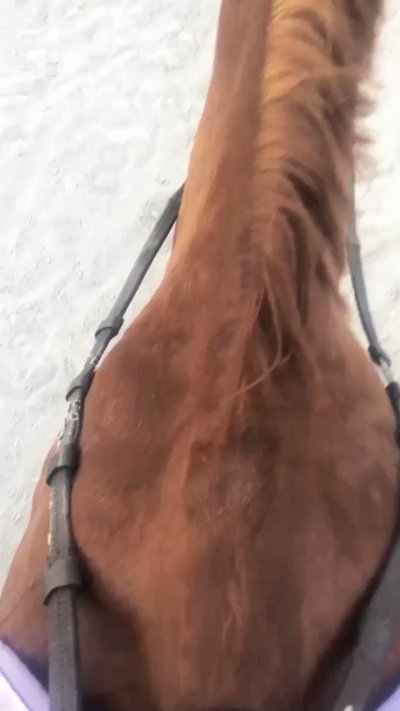 Watch Jayden Cole's leaked NSFW video on TwXstars