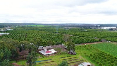 Watch Destination NSW's leaked NSFW video on TwXstars