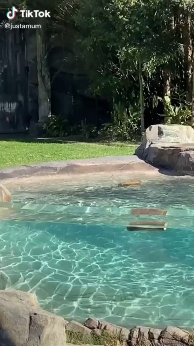 Watch Gym Stallions's leaked NSFW video on TwXstars