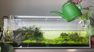 Watch Leanroc's leaked NSFW video on TwXstars