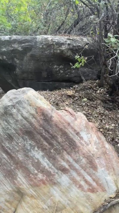 Watch Vanessa Vega's leaked NSFW video on TwXstars