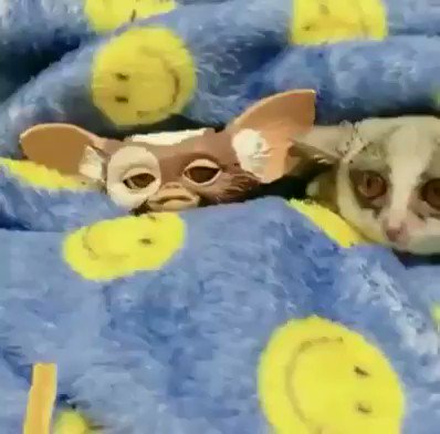 Watch Stephen Dallas's leaked NSFW video on TwXstars