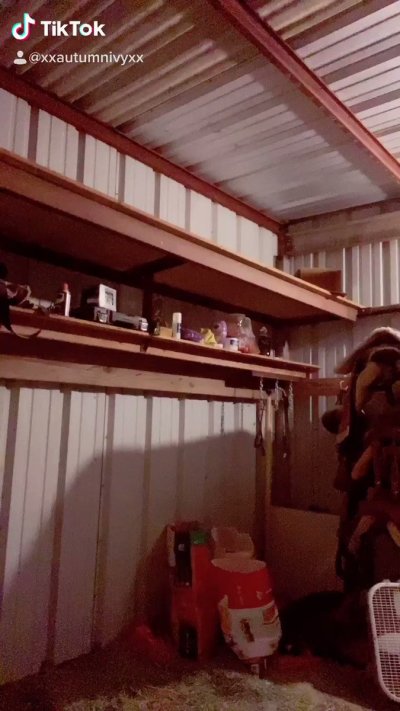 Watch Autumn Ivy- Pax West w/Larian Studios! ✈️'s leaked NSFW video on TwXstars