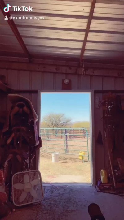 Watch Autumn Ivy- Pax West w/Larian Studios! ✈️'s leaked NSFW video on TwXstars