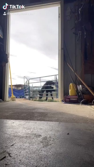 Watch Autumn Ivy- Pax West w/Larian Studios! ✈️'s leaked NSFW video on TwXstars