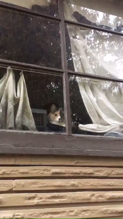 Watch Uʀsɪɴᴀᴇ VᴇsᴘᴇʀᴀL ʕ'ᴥ'ʔ's leaked NSFW video on TwXstars