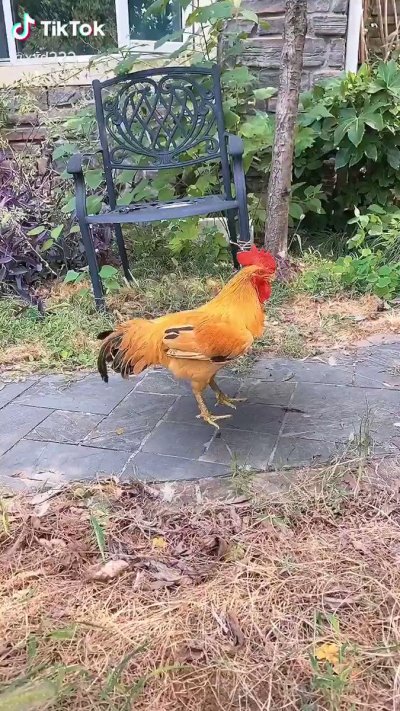 Watch ari's leaked NSFW video on TwXstars