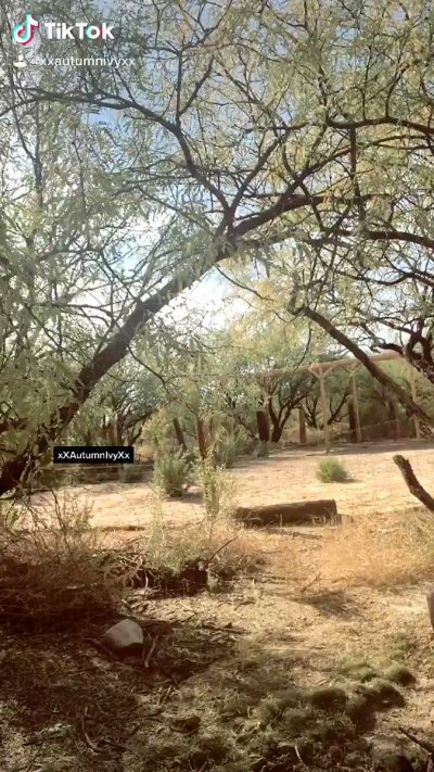 Watch Autumn Ivy- Pax West w/Larian Studios! ✈️'s leaked NSFW video on TwXstars