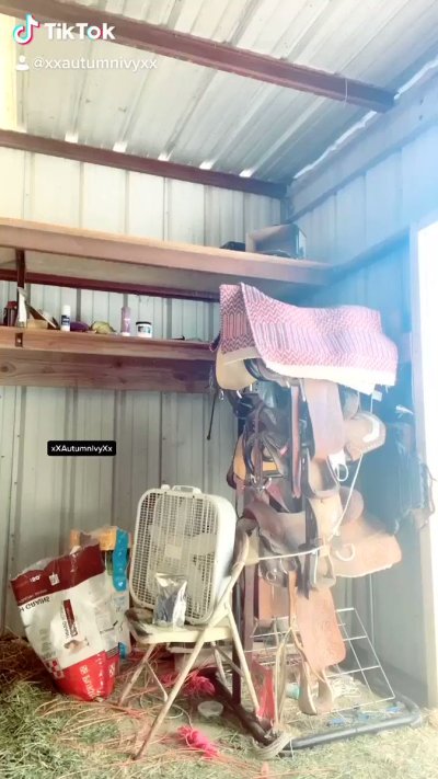 Watch Autumn Ivy- Pax West w/Larian Studios! ✈️'s leaked NSFW video on TwXstars