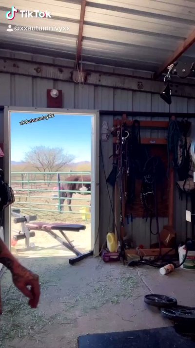 Watch Autumn Ivy- Pax West w/Larian Studios! ✈️'s leaked NSFW video on TwXstars