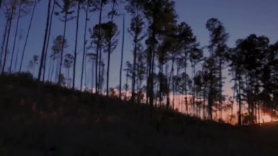 Watch DAD is BIG's leaked NSFW video on TwXstars