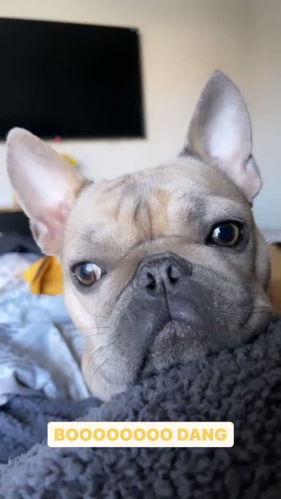 Watch TAY BAE💛's leaked NSFW video on TwXstars