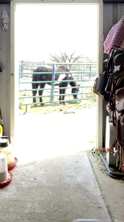 Watch Autumn Ivy- Pax West w/Larian Studios! ✈️'s leaked NSFW video on TwXstars