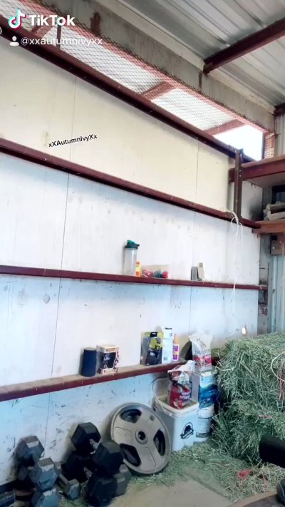 Watch Autumn Ivy- Pax West w/Larian Studios! ✈️'s leaked NSFW video on TwXstars