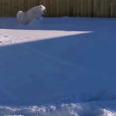 Watch Alinity's leaked NSFW video on TwXstars